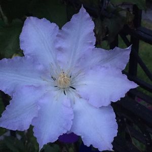 Meet your Posher, Mariana